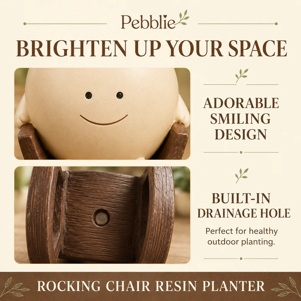 Pebble Rocking Plant