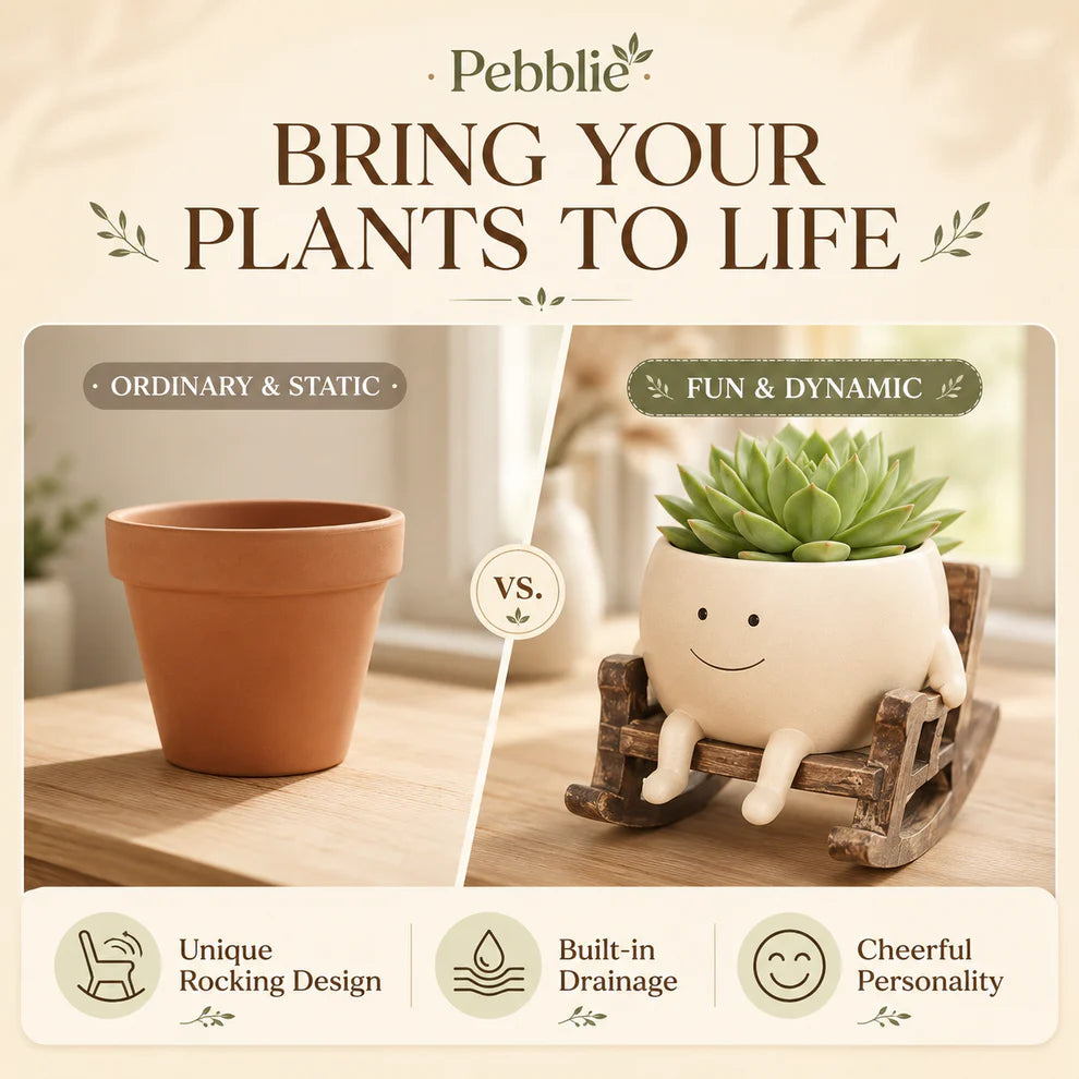 Pebble Rocking Plant